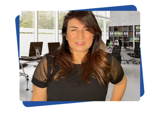  Parceiros VIPs